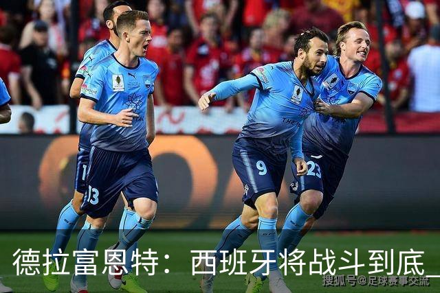 德拉富恩特：西班牙将战斗到底 巴西队仍然是诸强学习的榜样